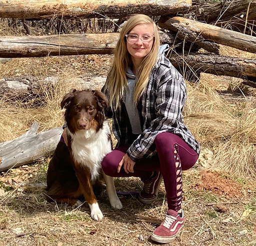 Canine Boarding and Training: Exceptional Care Provided